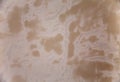 Gesso fresh plaster texture in stucco wall Royalty Free Stock Photo