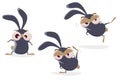 Funny cartoon illustration of a ninja rabbit
