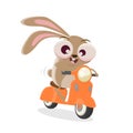 funny cartoon rabbit riding a motor scooter