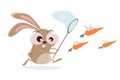 cartoon rabbit catching carrots Royalty Free Stock Photo