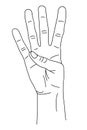 Gesture in the form of four fingers, index, middle, nameless, little finger, raised upward. The hand shows the number