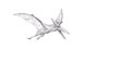 Abstract polygonal illustration of pterodactylus