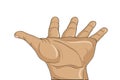 Gesture open palm. Hand gives or receives. Vector illustration