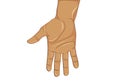 Gesture open palm. Hand gives or receives. Vector illustration