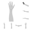 Gestures and their meaning monochrome icons in set collection for design.Emotional part of communication vector symbol