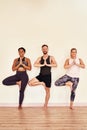 Get active and grow like a tree. a group of young men and women practicing the tree pose during a yoga session. Royalty Free Stock Photo