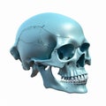Cartoon occipital bone with foramen magnum