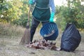 Get rid of dry leaves to make compost or make fire barrier in autumn. ? Royalty Free Stock Photo