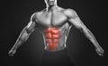 Specialization for abdominal muscles in bodybuilding sport