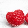 Get that sweet treat the healthy way. juicy raspberries on sugar. Royalty Free Stock Photo