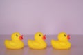 Get your ducks in a row for the new year Royalty Free Stock Photo