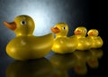 Get Your Ducks In A Row Royalty Free Stock Photo