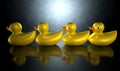 Get Your Ducks In A Row Royalty Free Stock Photo