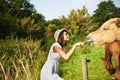 Getting back to nature. A young woman feeding a horse on a farm. Royalty Free Stock Photo