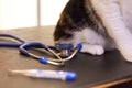 Getting a checkup for your pet is important. Cropped shot of a cat on an exam table with a thermometer and stethoscope. Royalty Free Stock Photo