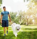 Getting his daily exercise. a handsome young man walking his dog in the park. Royalty Free Stock Photo