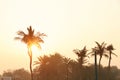 Safa Park, Jumeirah Beach, Dubai Royalty Free Stock Photo