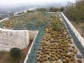 The Getty Museum