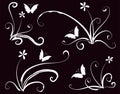 Calligraphic decorative elements butterfly flowers leaf plant with lines Royalty Free Stock Photo