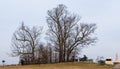 Gettysburg, Pennsylvania, USA February 7, 2023 The Copse of Trees, the focal point of Pickett\'s charge on Hancock Avenue Royalty Free Stock Photo