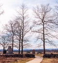 Gettysburg, Pennsylvania, USA March 13, 2021 A paved walkway through trees and monuments on the battlefield at Gettysburg National