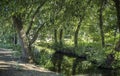 Gevora river forest, La Codosera, Badajoz, Extremadura, Spain Royalty Free Stock Photo