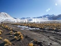 Geyser del tatio, atacama desert Chile Royalty Free Stock Photo