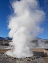 Geyser del tatio, atacama desert Chile Royalty Free Stock Photo