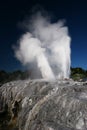 Geothermal geyser erupting in Rotorua, New Zealand