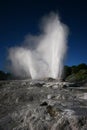 Geothermal geyser erupting in Rotorua, New Zealand