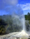 Geyser eruption, New Zealand Royalty Free Stock Photo