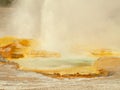 A Geyser Erupts, Yellowstone National Park