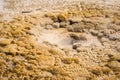 Geyser Formations Detail In Yellowstone National Park