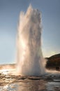 Geyser Royalty Free Stock Photo