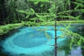 Geyser lake from the Altai Republic