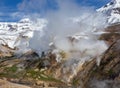 Geyser landscape with emissions of boiling water, steam and gases in the Valley of Geysers