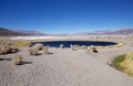 Geyser Ojos del Campo at the Salar of Antofalla at the Puna de Atacama, Argentina