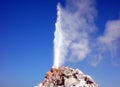 A geyser shooting steam into the air Royalty Free Stock Photo