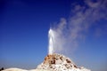 A geyser shooting steam into the air Royalty Free Stock Photo