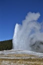 Geyser spews into the air with boiling water and steam