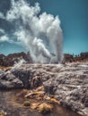 Geyser steam fountain in New Zealand Royalty Free Stock Photo