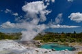 Geyser in Te Puia geothermal park, New Zealand Royalty Free Stock Photo