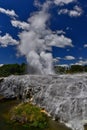 Geyser in Te Puia geothermal park, New Zealand Royalty Free Stock Photo