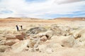 Geyser in Uyuni, Bolivia Royalty Free Stock Photo