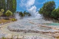 Geyser at Wairakei Terraces in New Zealand