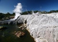 Geothermal geyser steaming from white limestone rocks, Rotorua, New Zealand Royalty Free Stock Photo