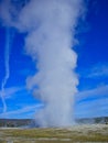 a geyser in the yellowstone park Royalty Free Stock Photo