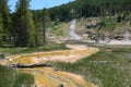 Geysers in Yellowstone national park