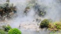 Geysers and Mud pools. view of a boiling mud pool.