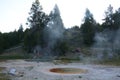 geysers in Yellowstone National Park